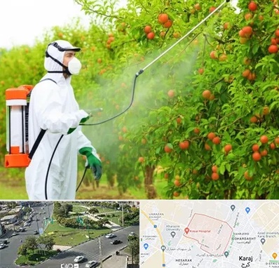 سمپاشی درختان در شاهین ویلا کرج 