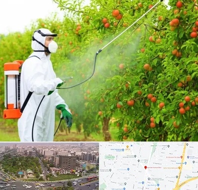 سمپاشی درختان در آیت الله کاشانی 