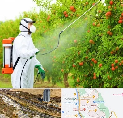 سمپاشی درختان در خیابان نیایش شیراز 