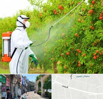 سمپاشی درختان در خیابان قزوین