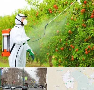 سمپاشی درختان در نظرآباد کرج 