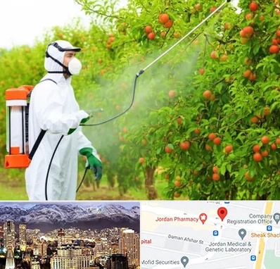 سمپاشی درختان در جردن 