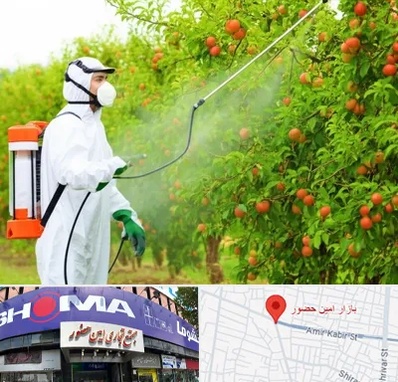 سمپاشی درختان در امین حضور