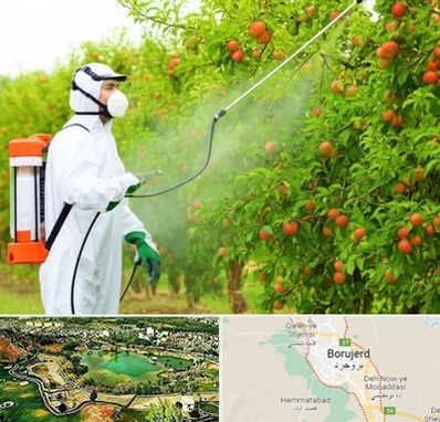 سمپاشی درختان در بروجرد