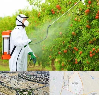 سمپاشی درختان در اندیشه