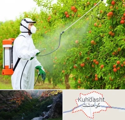 سمپاشی درختان در کوهدشت