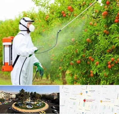 سمپاشی درختان در هفت حوض 