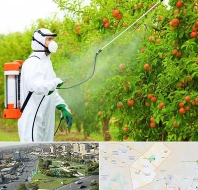 سمپاشی درختان در کمال شهر کرج 