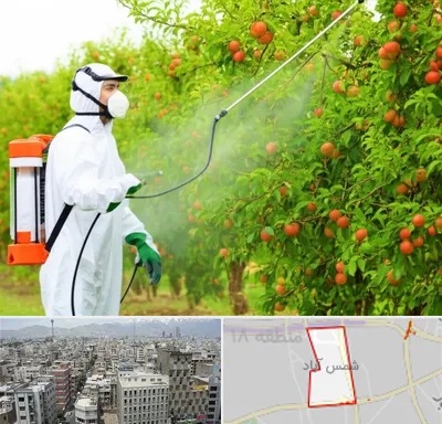 سمپاشی درختان در شمس آباد تهران