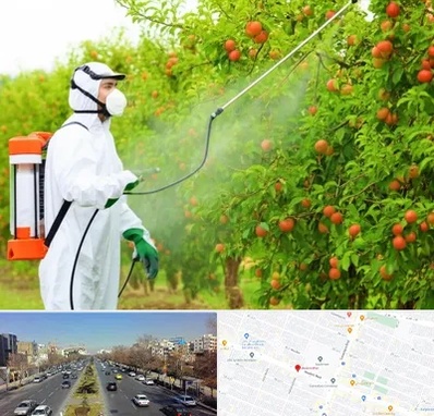 سمپاشی درختان در بلوار معلم مشهد 