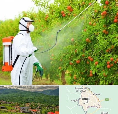 سمپاشی درختان در آمل