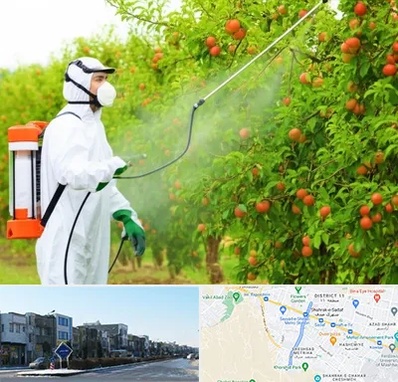 سمپاشی درختان در شریعتی مشهد 