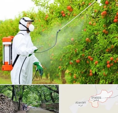 سمپاشی درختان در شاندیز مشهد 