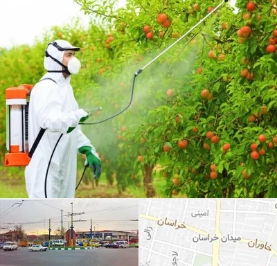 سمپاشی درختان در میدان خراسان