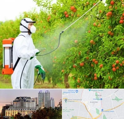 سمپاشی درختان در فرشته 