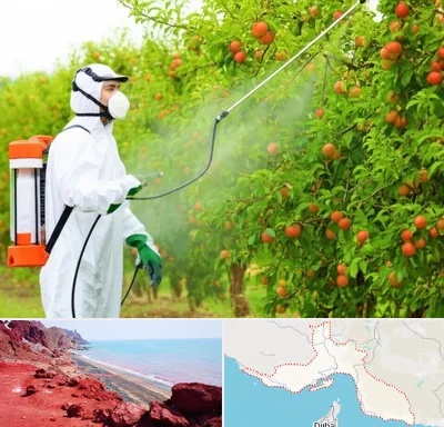 سمپاشی درختان در هرمزگان