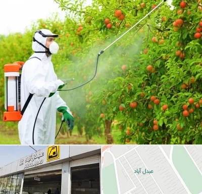 سمپاشی درختان در عبدل آباد