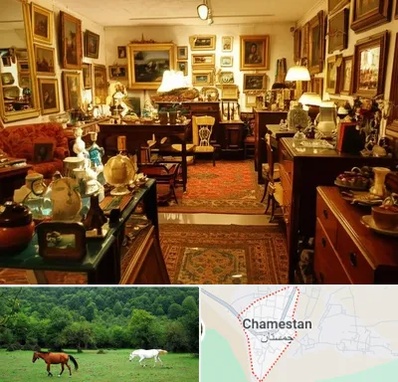 سمساری در چمستان