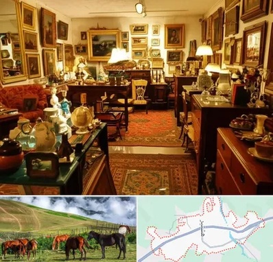 سمساری در تالش