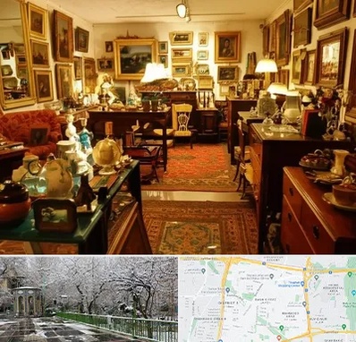 سمساری در باغ فیض 