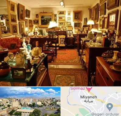 سمساری در میانه