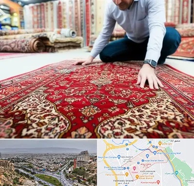 خریدار فرش دستباف و ماشینی دست دوم در معالی آباد شیراز 