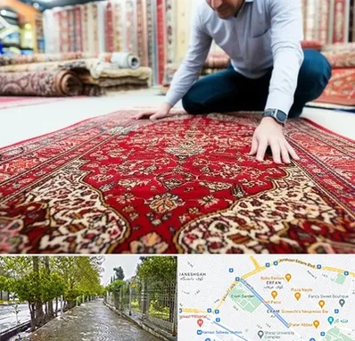 خریدار فرش دستباف و ماشینی دست دوم در خیابان ارم شیراز 