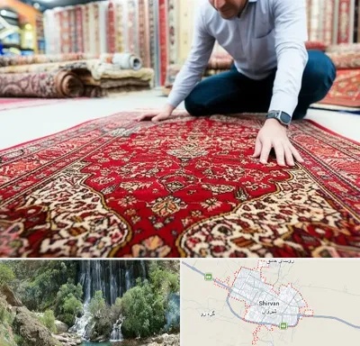 خریدار فرش دستباف و ماشینی دست دوم در شیروان
