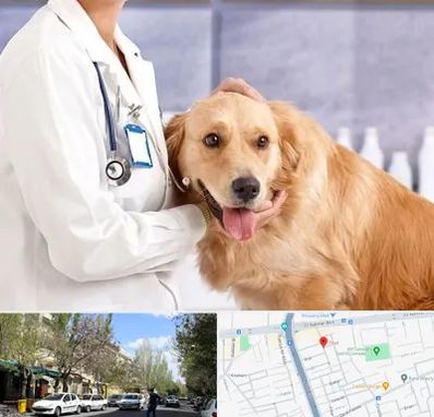 کلینیک دامپزشکی شبانه روزی در کوی فیروز تبریز