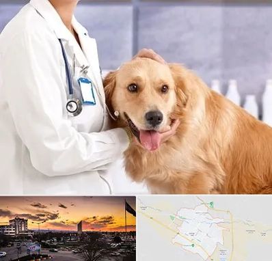 کلینیک دامپزشکی شبانه روزی در قوچان