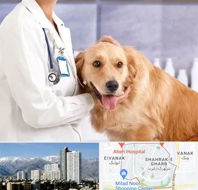 کلینیک دامپزشکی شبانه روزی در شهرک غرب تهران