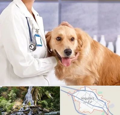 کلینیک دامپزشکی شبانه روزی در الیگودرز