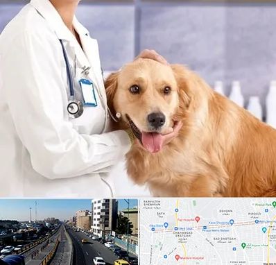 کلینیک دامپزشکی شبانه روزی در پیروزی