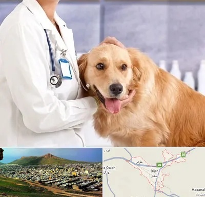 کلینیک دامپزشکی شبانه روزی در بیجار