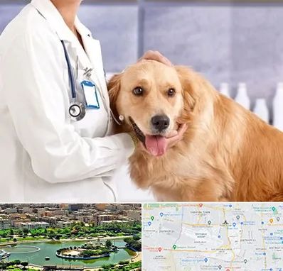 کلینیک دامپزشکی شبانه روزی در منطقه 9 تهران