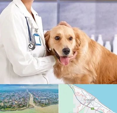 کلینیک دامپزشکی شبانه روزی در تنکابن