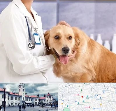 کلینیک دامپزشکی شبانه روزی در میدان شهرداری رشت