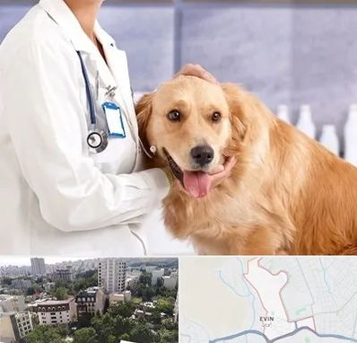 کلینیک دامپزشکی شبانه روزی در اوین