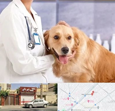 کلینیک دامپزشکی شبانه روزی در باجک قم