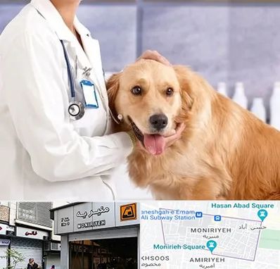 کلینیک دامپزشکی شبانه روزی در منیریه