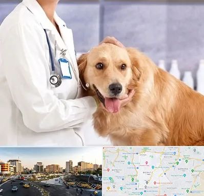 کلینیک دامپزشکی شبانه روزی در منطقه 7 تهران