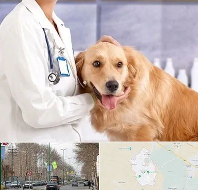 کلینیک دامپزشکی شبانه روزی در نظرآباد کرج