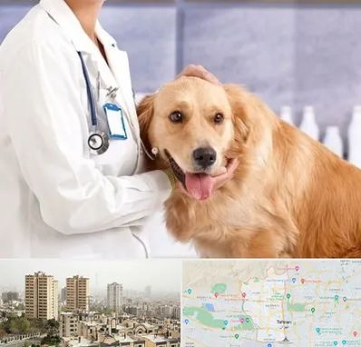 کلینیک دامپزشکی شبانه روزی در منطقه 5 تهران