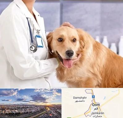 کلینیک دامپزشکی شبانه روزی در قم