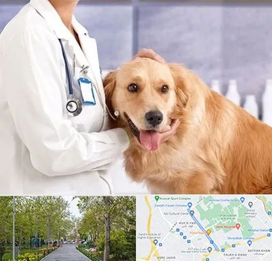 کلینیک دامپزشکی شبانه روزی در قدوسی غربی شیراز