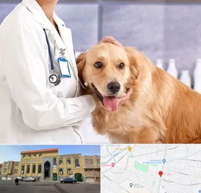 کلینیک دامپزشکی شبانه روزی در زنبیل آباد قم