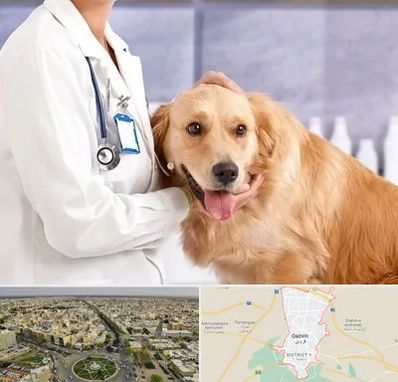 کلینیک دامپزشکی شبانه روزی در قزوین