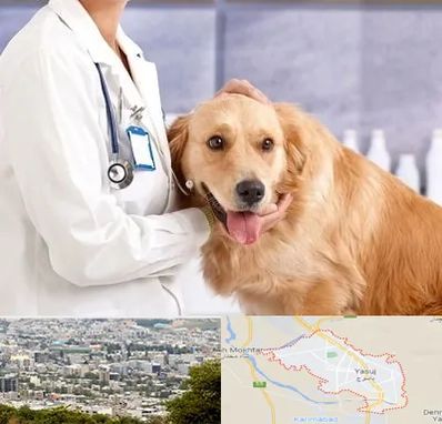 کلینیک دامپزشکی شبانه روزی در یاسوج