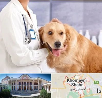 کلینیک دامپزشکی شبانه روزی در خمینی شهر