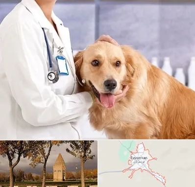 کلینیک دامپزشکی شبانه روزی در تویسرکان